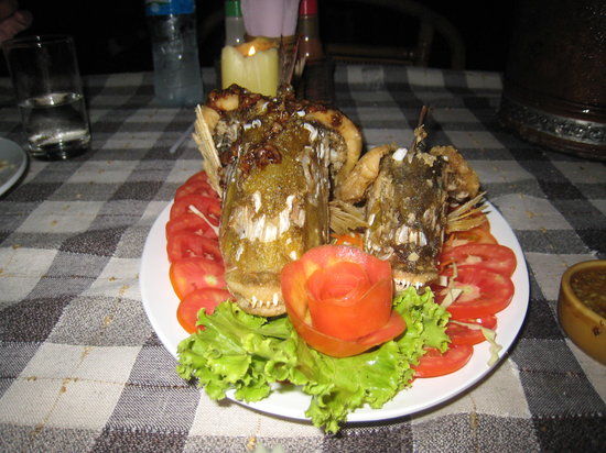 Everyday Lasy House Restaurant and Bar