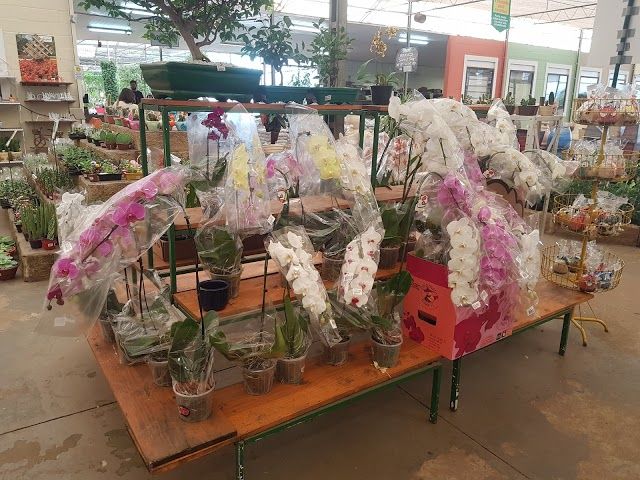 Gardencenter City of Flowers