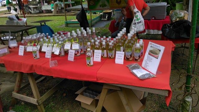 Santa Cruz Green Market