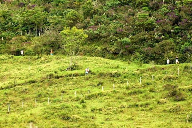 PETP - Parque Estadual dos Tres Picos