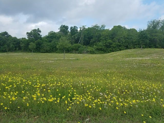 North East Metropolitan Park