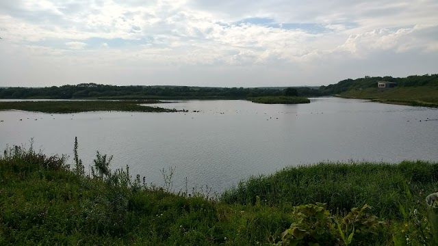 Hauxley Nature Reserve