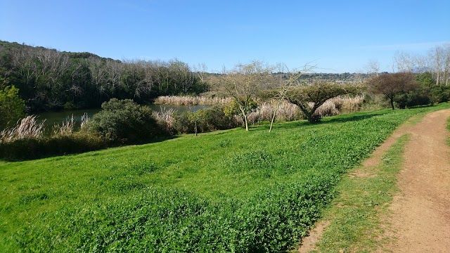 Majik Forest Lower Entrance