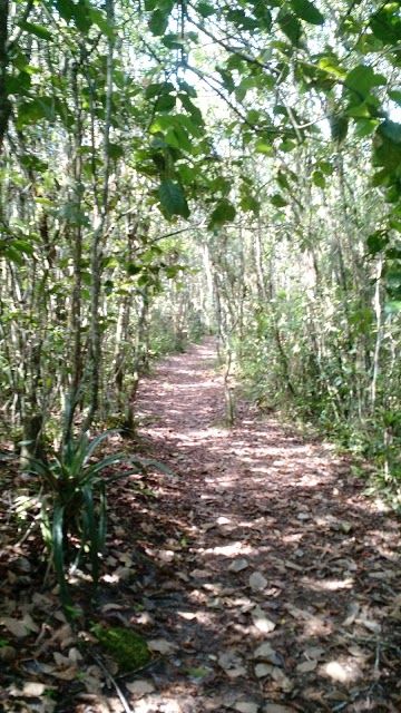 Parque Estadual Rio da Onça