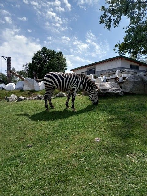 Zoo Safari Varallo Pombia