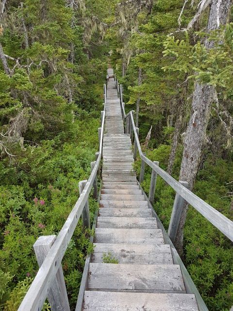 Alexander Murray Hiking Trail