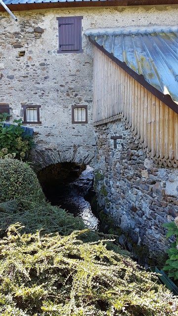 Parc Acrobatique Forestier de l'AYA