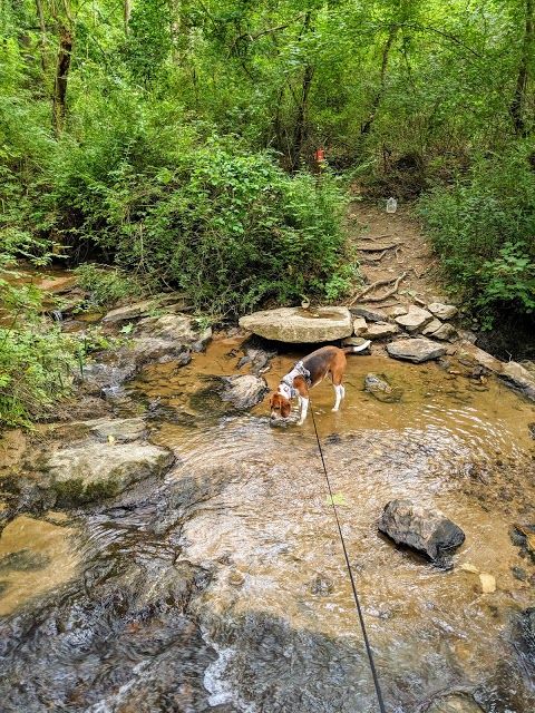Richmond Hill Disc Golf Course