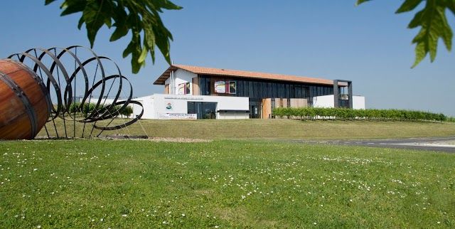 House of Vine and Dine