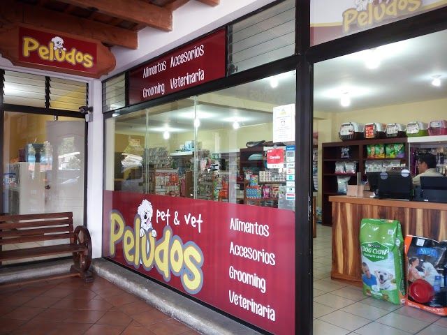 Centro Comercial Panorama