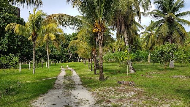 Plantation House National Monument