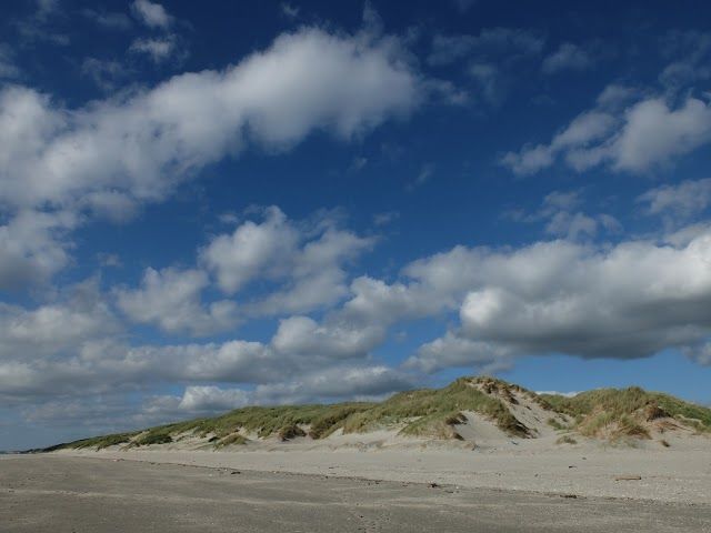 Sentier d'accès à mer, Randonnée les Crocs autour du Marquenterre