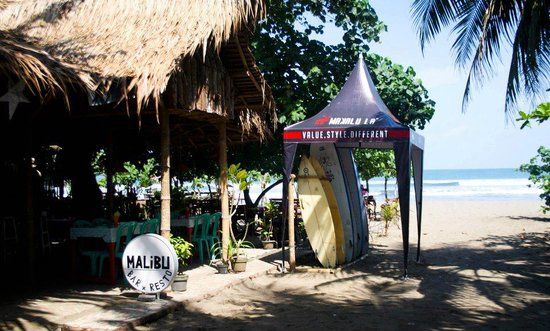 Malibu surfer paradise bar & resto