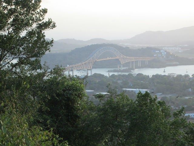 Cerro Ancon hawkwatch