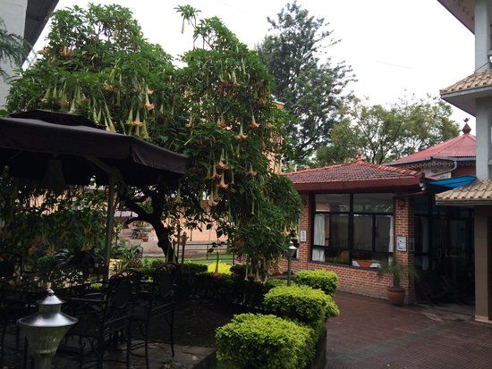 Manny's Eatery & Tapas Bar