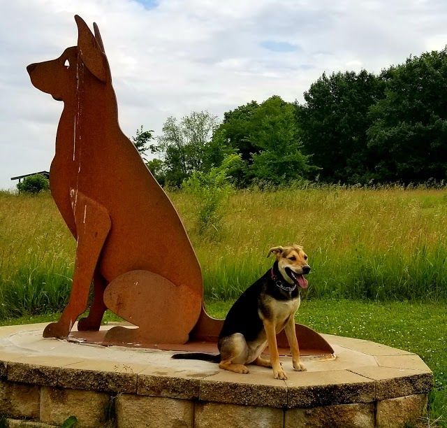 Jefferson County Dog Park