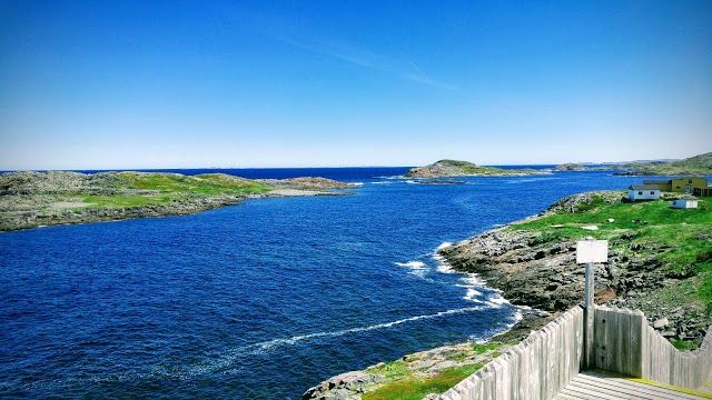 Fogo Head Hiking Trail