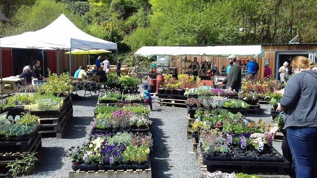 Camlan Garden Centre & Farm Shop