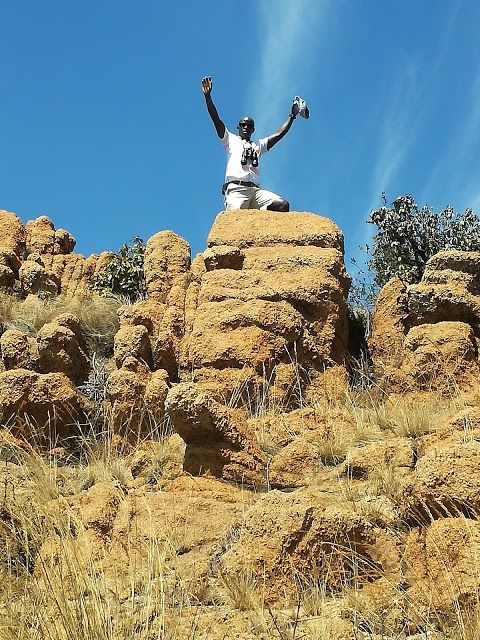 Kgaswane Nature Reserve Main Entrance