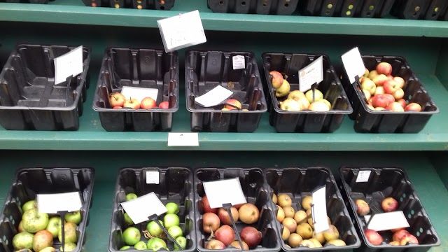 Kehelland Horticultural Centre Ltd