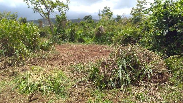 Corredor Ecologico del Noreste