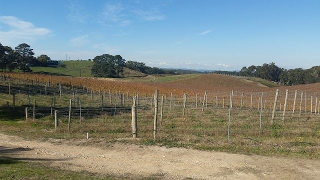 Fox Creek MTB Green Smoothie Car Park