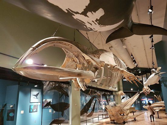 New Brunswick Museum