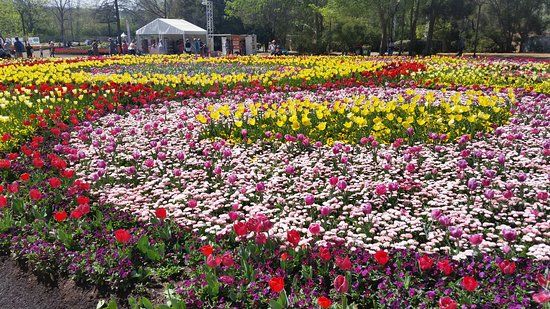 Floriade