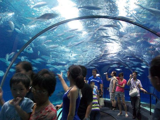 Aquarium Shanghai