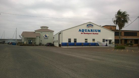 Rockport Harbor Aquarium