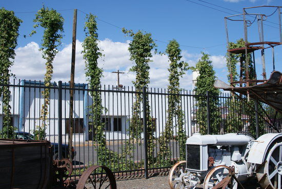 American Hop Museum