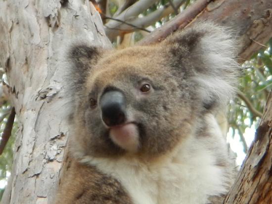 Hanson Bay Wildlife Sanctuary