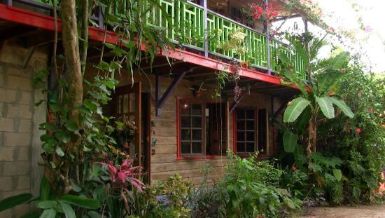 Estudio de Arte Samuel Lind