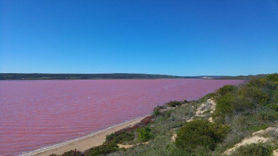 Pink Lake