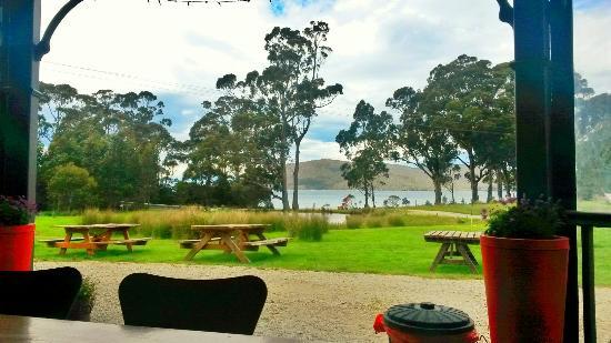 Bruny Island Berry Farm