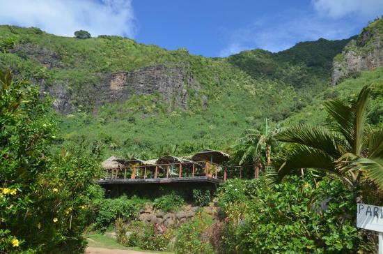Moorea Tropical Garden
