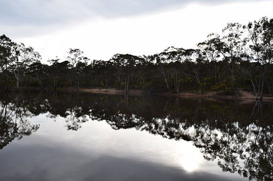 Para Wirra Recreation Park