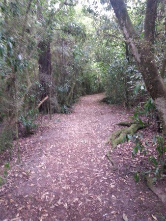 Talbot Forest Scenic Reserve