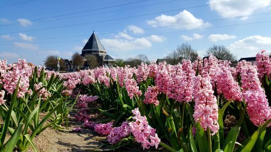 H.H. Engelbewaarderskerk