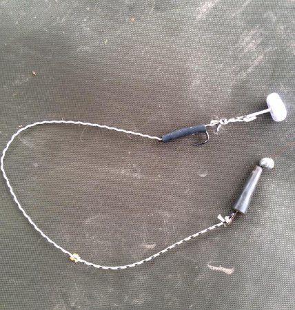 Hampton Springs Fishery