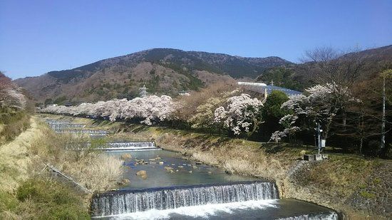 Miyaginohayakawa River Bank