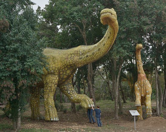 Bandera Natural History Museum