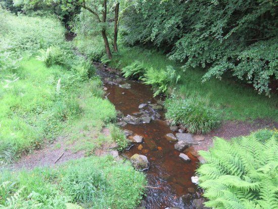 Blairadam Forest Trails