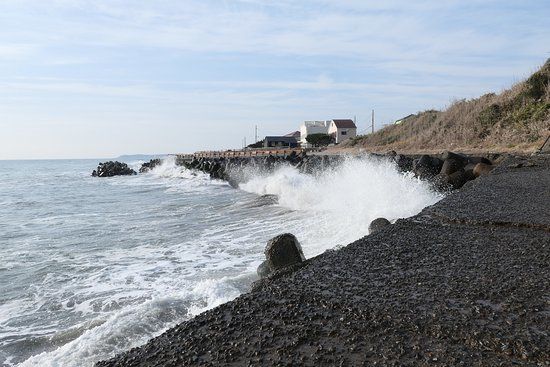 Taito Seaside Plant Community Land
