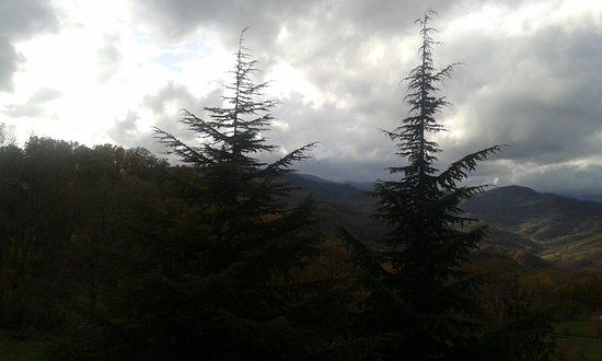 Chiesa San Francesco della Rosa