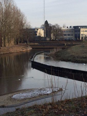 Natuurgebied Hammerveld-Oost