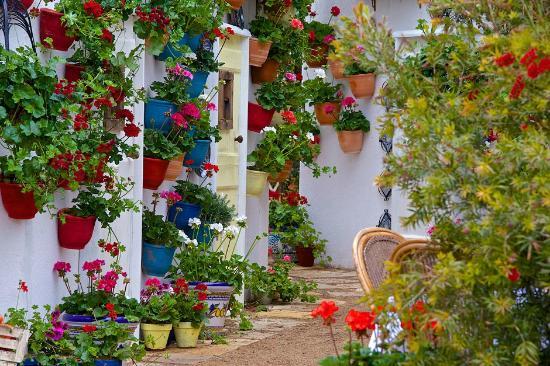 Three Counties Showground