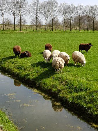 Elvis Presley Museum