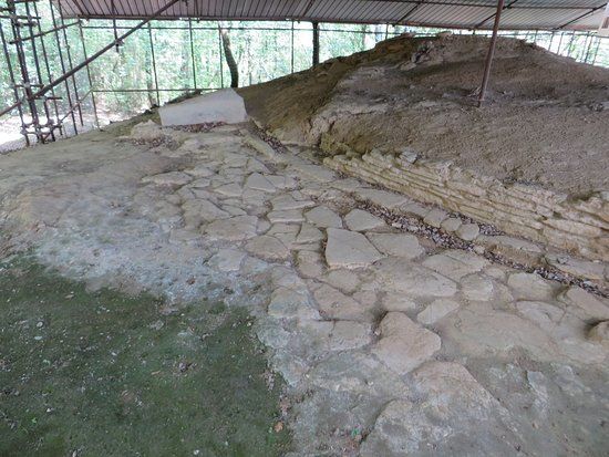 Necropoli etrusca di Prato Rosello