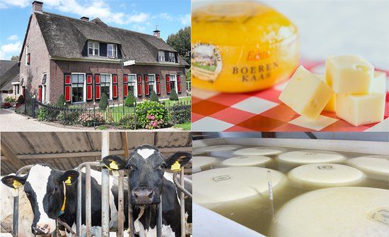 Kaasboerderij De Ossenwaard